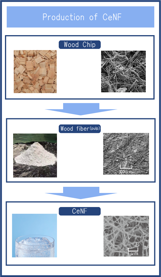 Production of CeNF